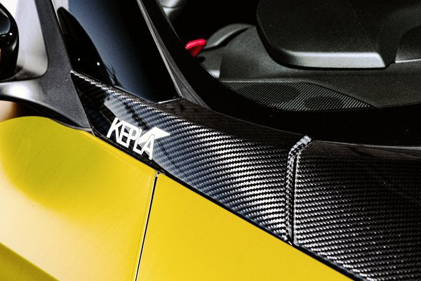 Top Secret Dry Carbon Front Pillar Set - RZ34